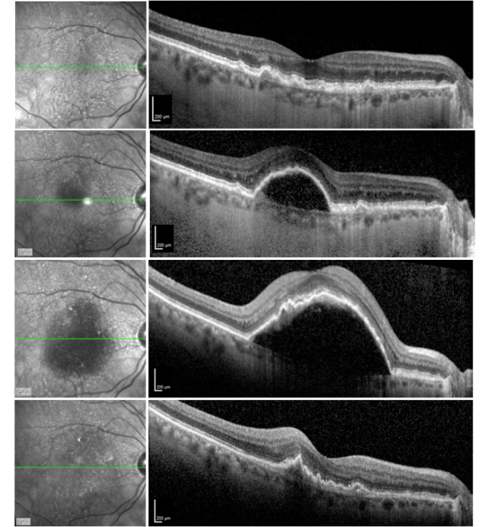 screen shot 2019-01-28 at 1.05.10 pm